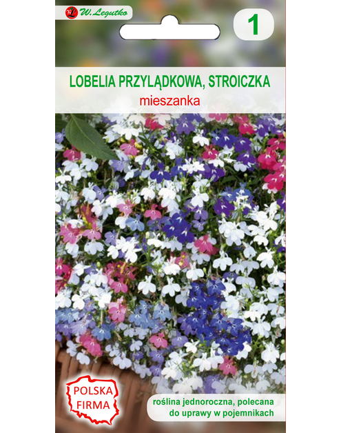 Zdjęcie: Lobelia przylądkowa stroiczka nasiona tradycyjne 0.1 g W. LEGUTKO