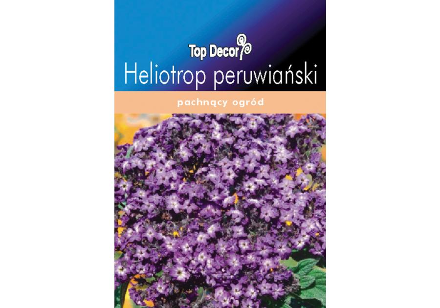 Zdjęcie: Heliotrop peruwiański TOP DECOR