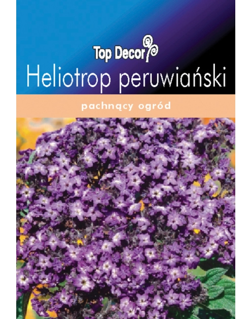 Zdjęcie: Heliotrop peruwiański TOP DECOR