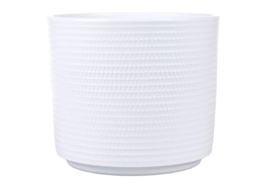 Zdjęcie: Osłonka doniczkowa Cylinder 14 cm biała CERMAX