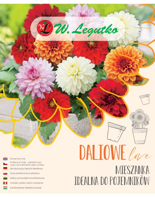 Zdjęcie: Mieszanka idealna do pojemników W.LEGUTKO