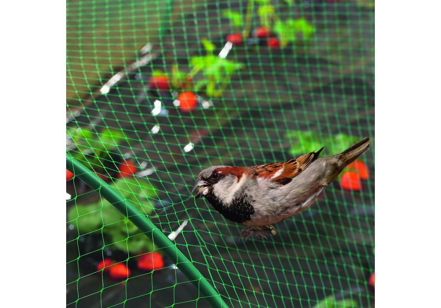 Zdjęcie: Siatka na ptaki Birdnet 4 x 50 m, jasny zielony NORTENE