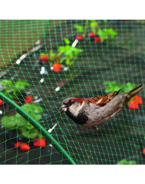 Zdjęcie: Siatka na ptaki Birdnet 4 x 50 m, jasny zielony NORTENE