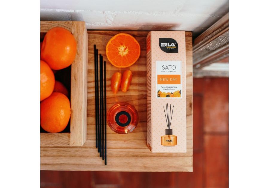 Zdjęcie: Patyczki zapachowe Sato New Day 50 ml ERLA