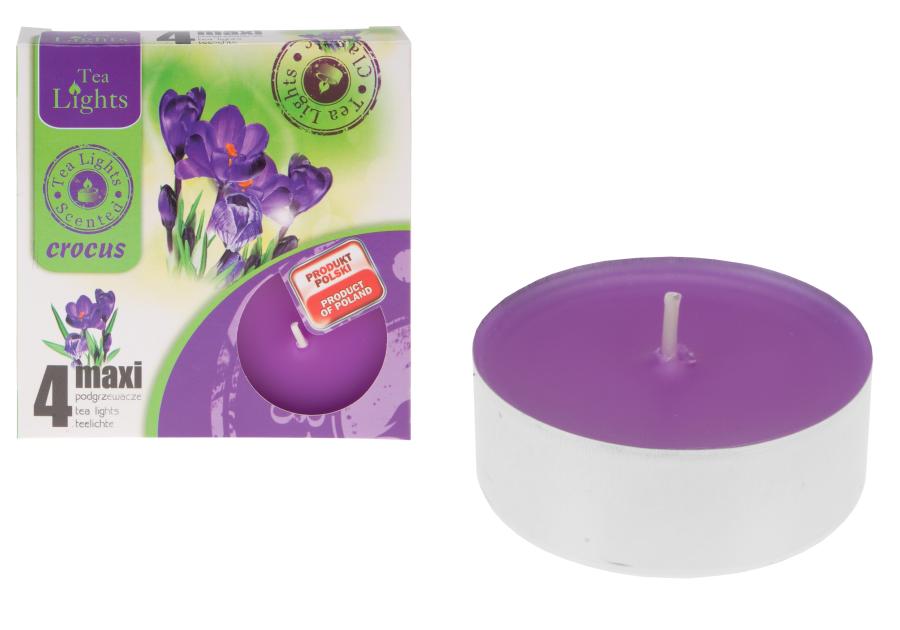 Zdjęcie: Podgrzewacze zapachowe Maxi 4 sztuki 96131 Krokus RAVI