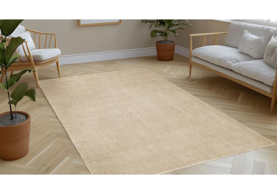 Zdjęcie: Dywan Vegas 160x230 cm beige monokolor INDAVO