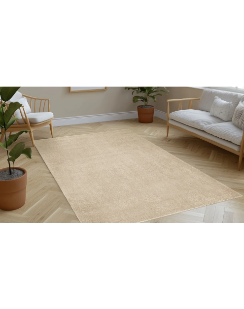 Zdjęcie: Dywan Vegas 160x230 cm beige monokolor INDAVO