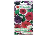 Zdjęcie: Petunia ogrodowa mieszanka 0,01 g W.LEGUTKO