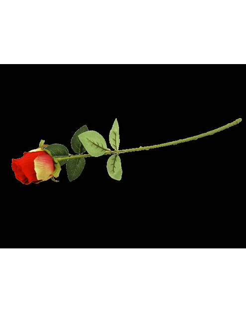 Zdjęcie: Róża pojedyncza CV14336-6 TOP GIFTS
