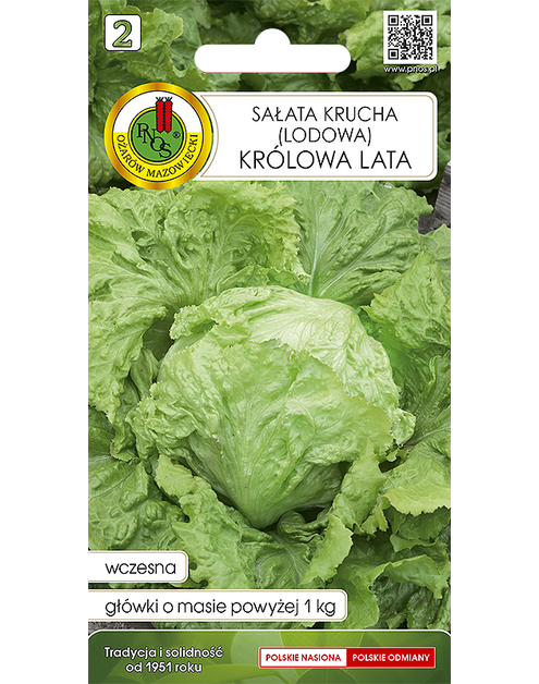 Zdjęcie: Sałata Głowiasta Krucha Królowa Lata 0,5G PNOS