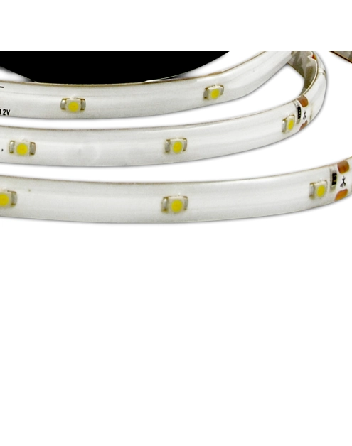 Zdjęcie: Pasek LED 12V 12 W 5 m IP44 POLUX