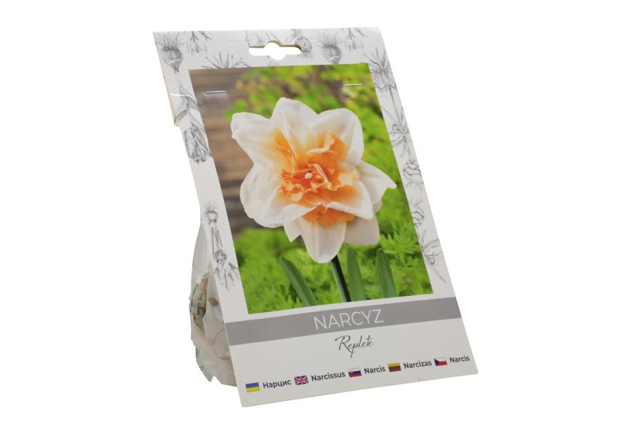 Zdjęcie: Narcyz Replete W.LEGUTKO