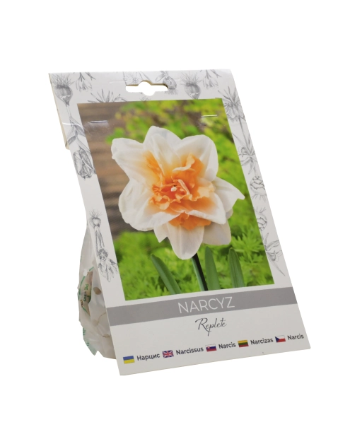 Zdjęcie: Narcyz Replete W.LEGUTKO