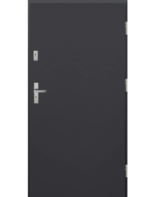 Zdjęcie: Drzwi zewnętrzne stalowo-drewniane Disting Otello 01 Antracyt 90 cm prawe zamek listwowy KR CENTER