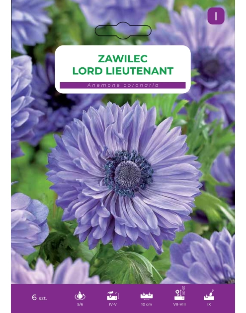 Zdjęcie: Nasiona kwiatów Zawilec blue LEGUTKO