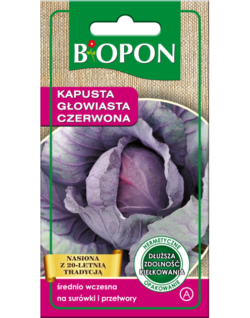 Zdjęcie: Kapusta głowiasta czerwona 1 g BIOPON