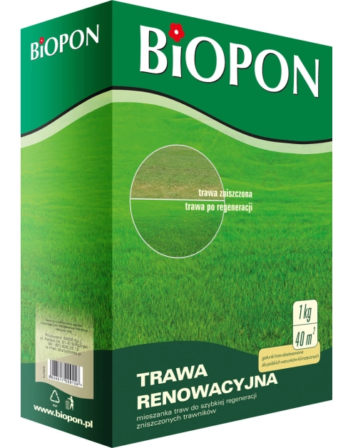 Zdjęcie: Trawa renowacyjna 1 kg BOPON