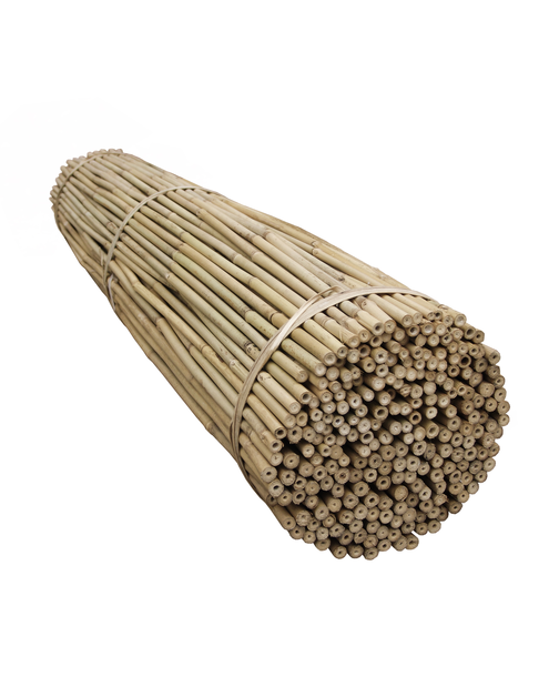 Zdjęcie: Tyczki bambusowe 10-12 mm - 105 cm - 100 szt.  TIN TOURS