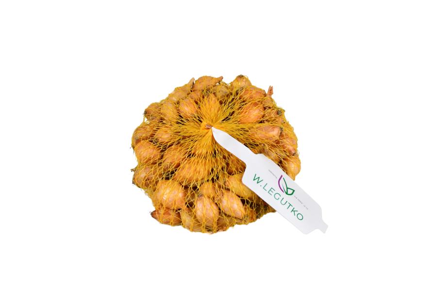 Zdjęcie: Cebula dymka Sturon 250 g LEGUTKO