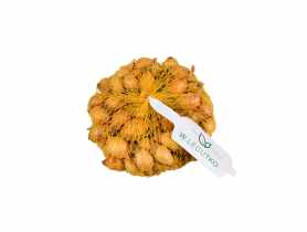 Cebula dymka Sturon 250 g LEGUTKO