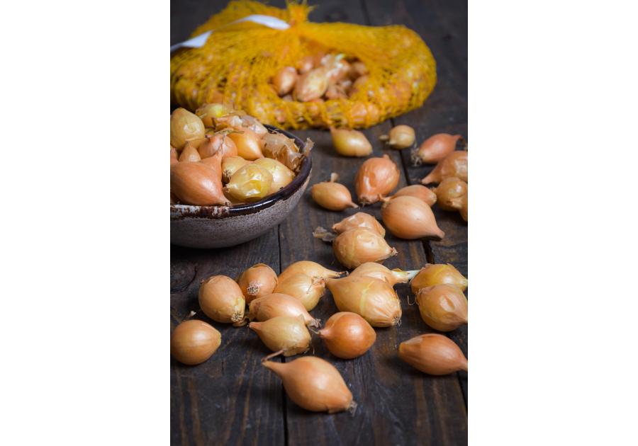 Zdjęcie: Cebula dymka Sturon 250 g LEGUTKO