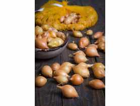 Cebula dymka Sturon 250 g LEGUTKO