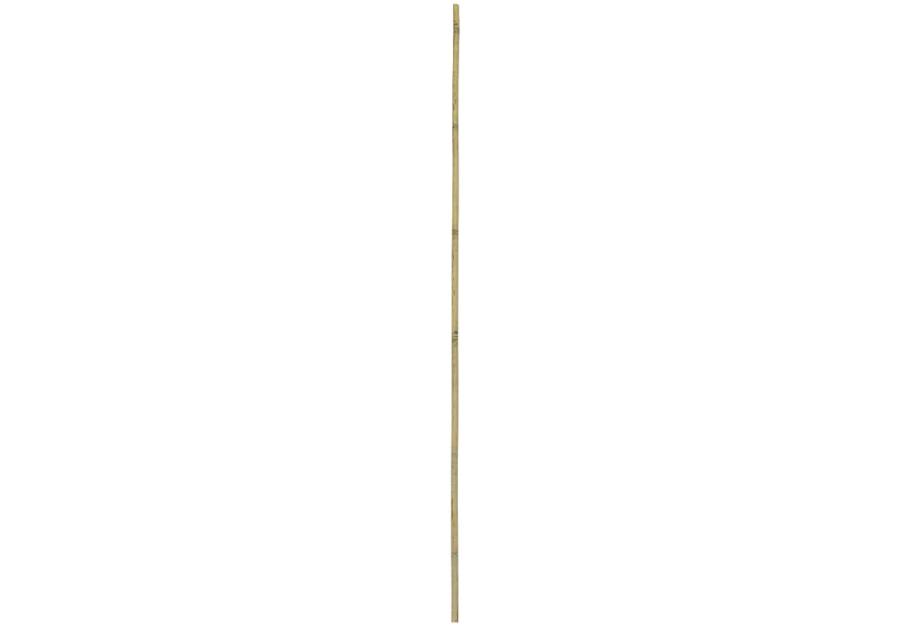 Zdjęcie: Tyczka bambusowa 120 cm RN DYSTRYBUCJA