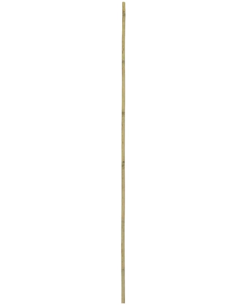Zdjęcie: Tyczka bambusowa 120 cm RN DYSTRYBUCJA