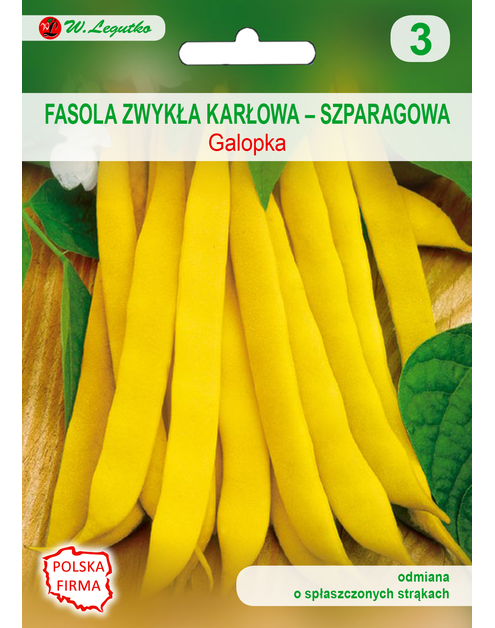 Zdjęcie: Fasola zwykła karłowa galopka nasiona tradycyjne 35 g W. LEGUTKO