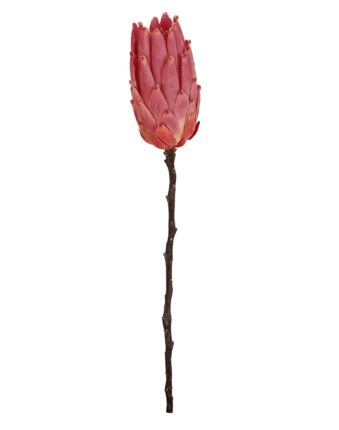 Zdjęcie: Sztuczna roślina gałązka protea 52 cm czerwony UNIGLOB