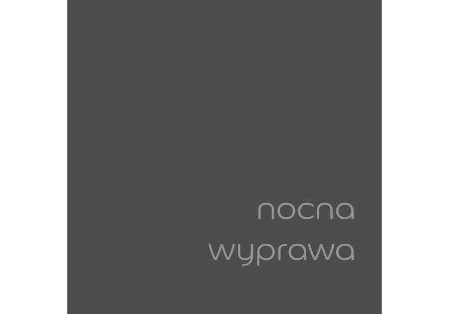 Zdjęcie: Tester farby EasyCare Kuchnia&Łazienka 0,03 L nocna wyprawa DULUX