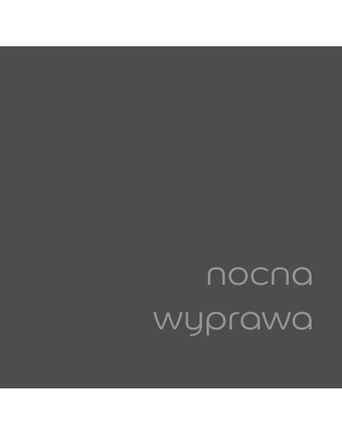 Zdjęcie: Tester farby EasyCare Kuchnia&Łazienka 0,03 L nocna wyprawa DULUX