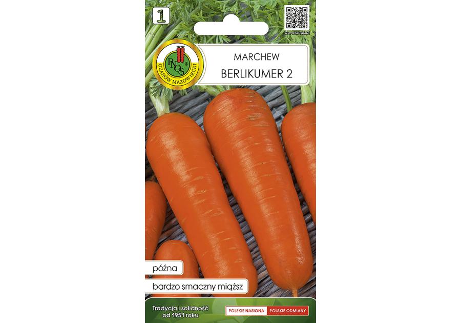 Zdjęcie: Marchew jadalna Berlikumer 2 - Perfekcja Rew 2 g PNOS
