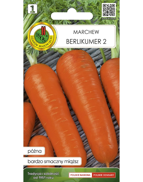 Zdjęcie: Marchew jadalna Berlikumer 2 - Perfekcja Rew 2 g PNOS