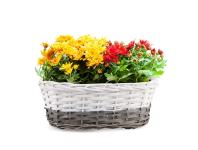 Zdjęcie: Balkonówka koszyk na kwiaty z folią 37x22x13 cm TIN TOURS