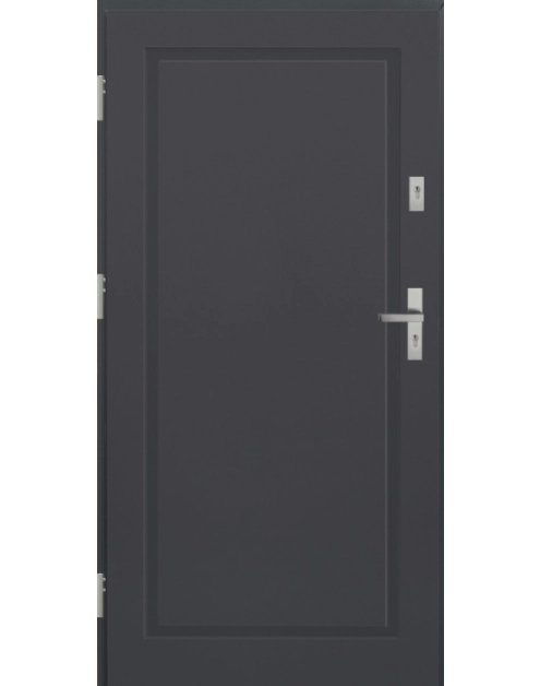 Zdjęcie: Drzwi zewnętrzne stalowo-drewniane Disting Mario 01 Antracyt 80 cm lewe KR CENTER