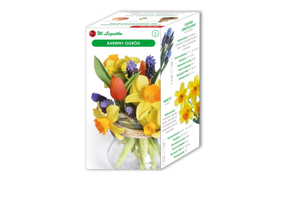 Zdjęcie: Barwny Ogród kompozycja cebul kwiatowych W.LEGUTKO