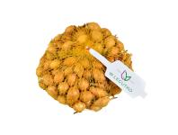 Zdjęcie: Cebula dymka Sturon 500 g LEGUTKO