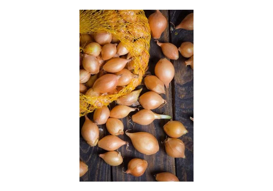 Zdjęcie: Cebula dymka Sturon 500 g LEGUTKO