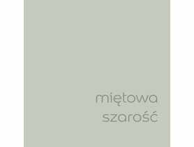 Farba lateksowa EasyCare miętowa szarość 2,5 L DULUX
