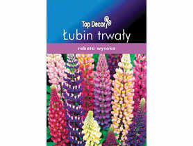 Łubin trwały TOP DECOR