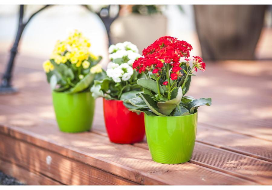 Zdjęcie: Doniczka Aga 23 cm zielona VERDENIA