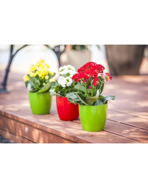 Zdjęcie: Doniczka Aga 23 cm zielona VERDENIA