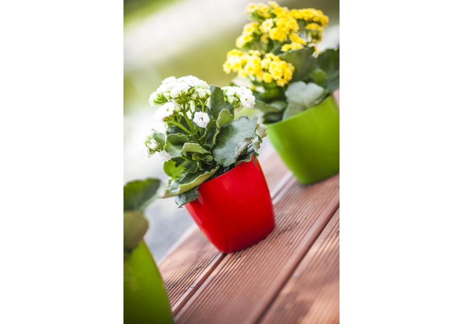 Zdjęcie: Doniczka Aga 23 cm zielona VERDENIA