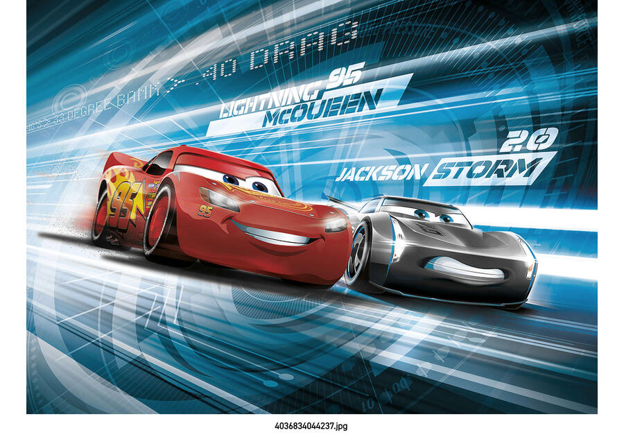 Zdjęcie: Fototapeta Cars3 Simulation VENA
