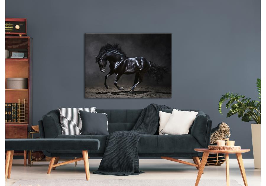 Zdjęcie: Obraz Canvas Silver1 85x113x2,8 cm Ex511 Black Horse STYLER