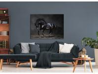 Zdjęcie: Obraz Canvas Silver1 85x113x2,8 cm Ex511 Black Horse STYLER