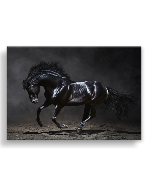 Zdjęcie: Obraz Canvas Silver1 85x113x2,8 cm Ex511 Black Horse STYLER