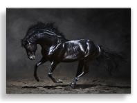 Zdjęcie: Obraz Canvas Silver1 85x113x2,8 cm Ex511 Black Horse STYLER