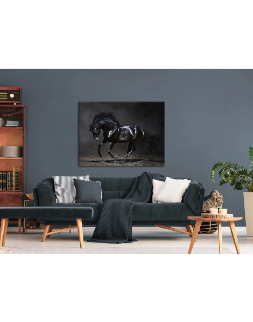 Zdjęcie: Obraz Canvas Silver1 85x113x2,8 cm Ex511 Black Horse STYLER
